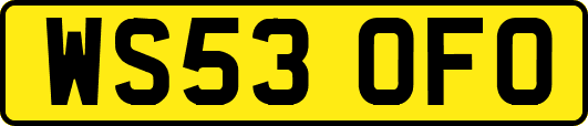 WS53OFO