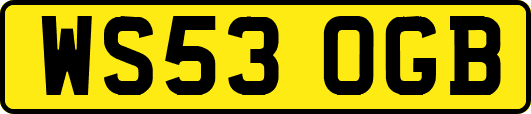 WS53OGB