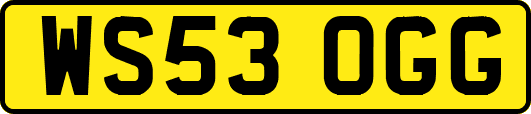 WS53OGG
