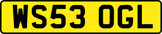 WS53OGL