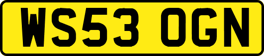 WS53OGN