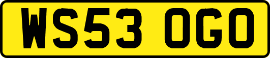 WS53OGO