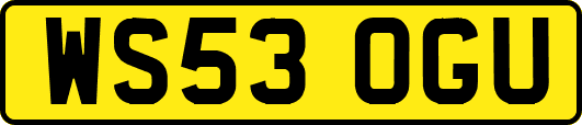 WS53OGU