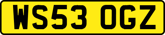 WS53OGZ