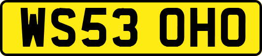 WS53OHO