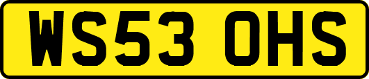 WS53OHS