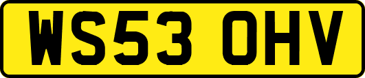 WS53OHV