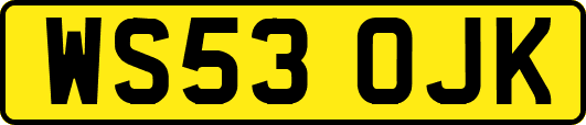 WS53OJK