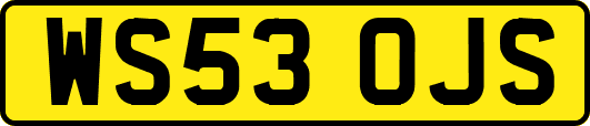 WS53OJS