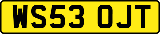 WS53OJT