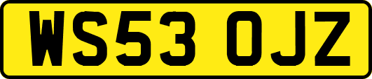 WS53OJZ