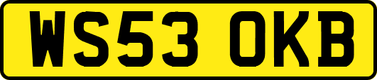 WS53OKB
