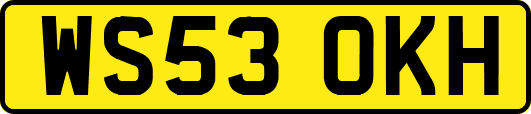 WS53OKH