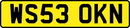WS53OKN