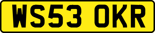 WS53OKR