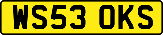 WS53OKS
