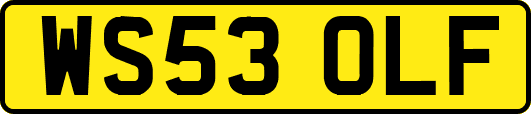WS53OLF