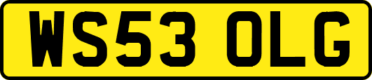 WS53OLG