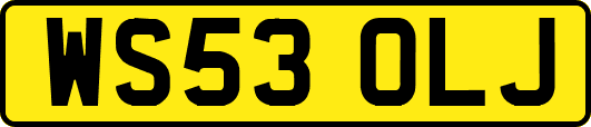 WS53OLJ