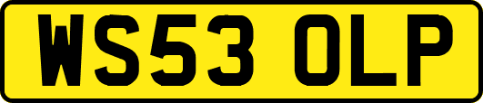 WS53OLP