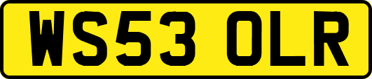 WS53OLR