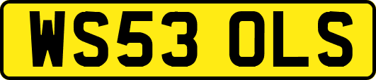 WS53OLS