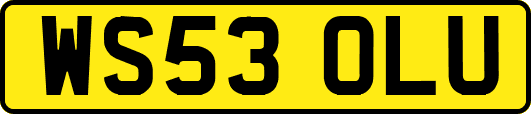WS53OLU