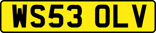WS53OLV