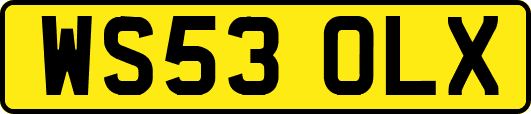 WS53OLX
