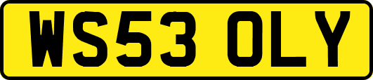 WS53OLY