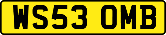 WS53OMB