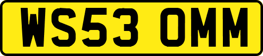 WS53OMM