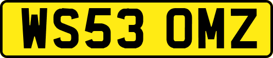 WS53OMZ