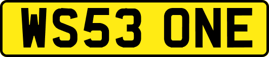 WS53ONE