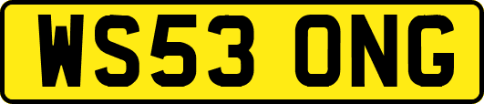 WS53ONG
