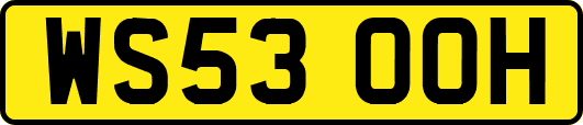 WS53OOH