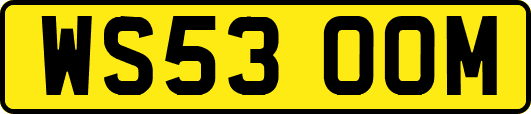 WS53OOM