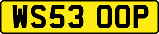 WS53OOP