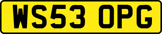 WS53OPG