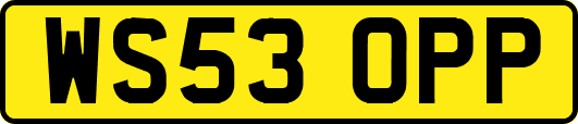 WS53OPP