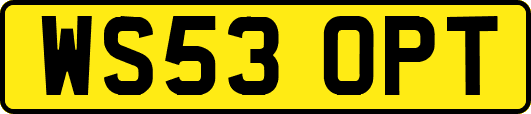 WS53OPT