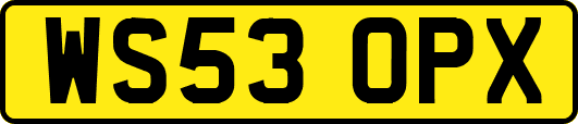 WS53OPX