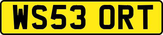 WS53ORT