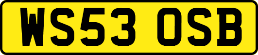 WS53OSB