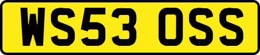 WS53OSS
