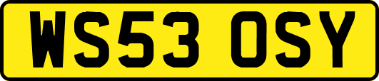 WS53OSY