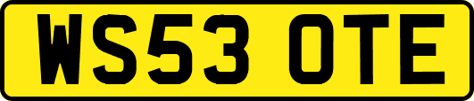 WS53OTE