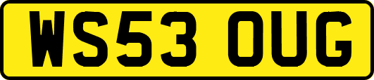WS53OUG