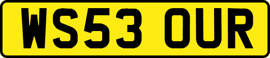 WS53OUR