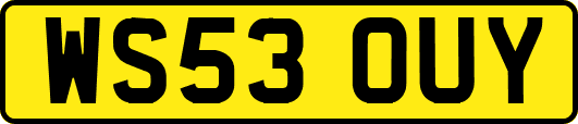 WS53OUY